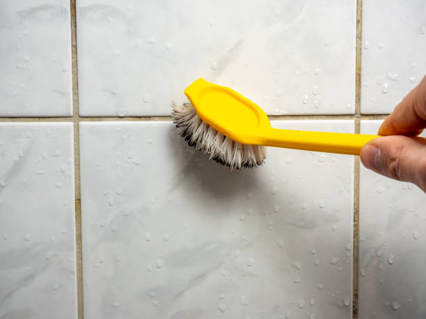 Best Affordable Mold Removal  in Oakridge, OR