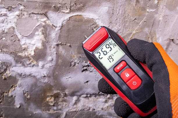 Home Mold Removal in Oakridge, OR