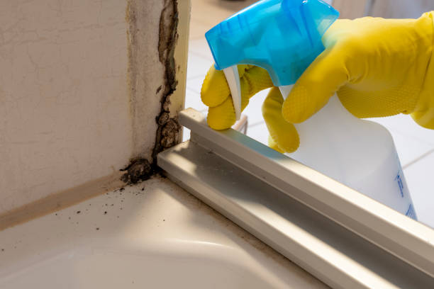 Best Mold Testing  in Oakridge, OR