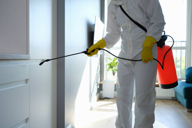 Best Mold Removal Company Near Me  in Oakridge, OR