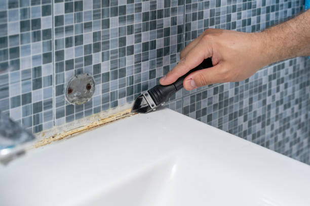 Best Mold Testing and Removal  in Oakridge, OR
