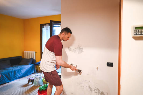 Best Office Mold Removal Services  in Oakridge, OR